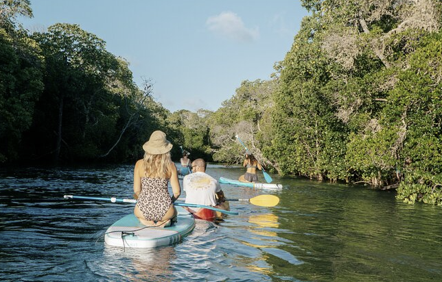 Kayaking on Kilifi Creek